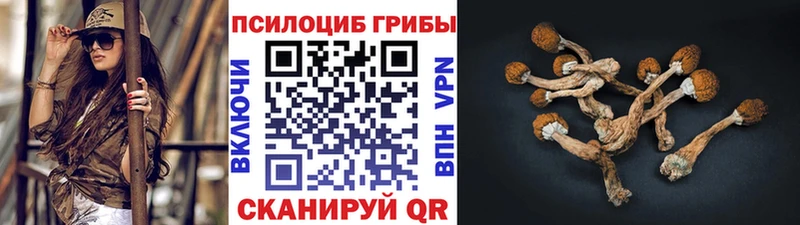 Псилоцибиновые грибы Magic Shrooms  Купить  Сычёвка 